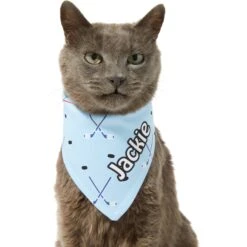 Frisco Ice Hockey Personalized Dog & Cat Bandana 18 Frisco Ice Hockey Personalized Dog & Cat Bandana -Pet Supplies Store 287048 PT7. AC SS1800 V1623246478