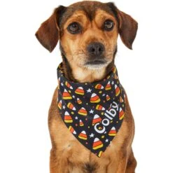 Frisco Candy Corn Personalized Dog & Cat Bandana -Pet Supplies Store 287056 PT6. AC SS1800 V1623246504