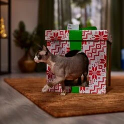 Frisco Holiday Gift Box Cardboard Cat House 12 Frisco Holiday Gift Box Cardboard Cat House -Pet Supplies Store 287291 PT4. AC SS1800 V1695045716