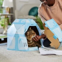 Frisco Igloo Cardboard Cat House 11 Frisco Igloo Cardboard Cat House -Pet Supplies Store 287293 PT3. AC SS1800 V1692035199