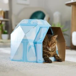Frisco Igloo Cardboard Cat House 12 Frisco Igloo Cardboard Cat House -Pet Supplies Store 287293 PT4. AC SS1800 V1692035193