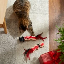 Frisco Holiday Bacon Plush Cat Toy With Catnip, 2 Count -Pet Supplies Store 287377 PT3. AC SS1800 V1632773555