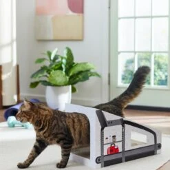 Frisco Treadmill Cardboard Cat House -Pet Supplies Store 288967 PT3. AC SS1800 V1638288289