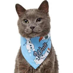 Disney Frozen's Olaf & Snow Personalized Dog & Cat Bandana -Pet Supplies Store 290146 PT7. AC SS1800 V1625152400