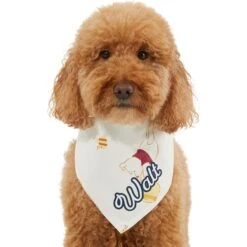 Disney Winnie The Pooh Personalized Dog & Cat Bandana 16 Disney Winnie The Pooh Personalized Dog & Cat Bandana -Pet Supplies Store 290158 PT6. AC SS1800 V1630429051