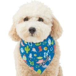 Pixar Toy Story Personalized Dog & Cat Bandana 16 Pixar Toy Story Personalized Dog & Cat Bandana -Pet Supplies Store 290162 PT6. AC SS1800 V1625155682