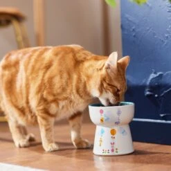 Disney Winnie The Pooh Tall Shape Non-Skid Elevated Ceramic Cat Bowl -Pet Supplies Store 291407 PT3. AC SS1800 V1633979783