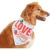 Frisco Love Bites Dog & Cat Bandana -Pet Supplies Store 292054 MAIN. AC SS1800 V1637268755