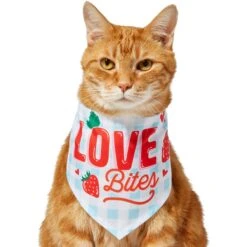 Frisco Love Bites Dog & Cat Bandana 11 Frisco Love Bites Dog & Cat Bandana -Pet Supplies Store 292054 PT2. AC SS1800 V1637268455