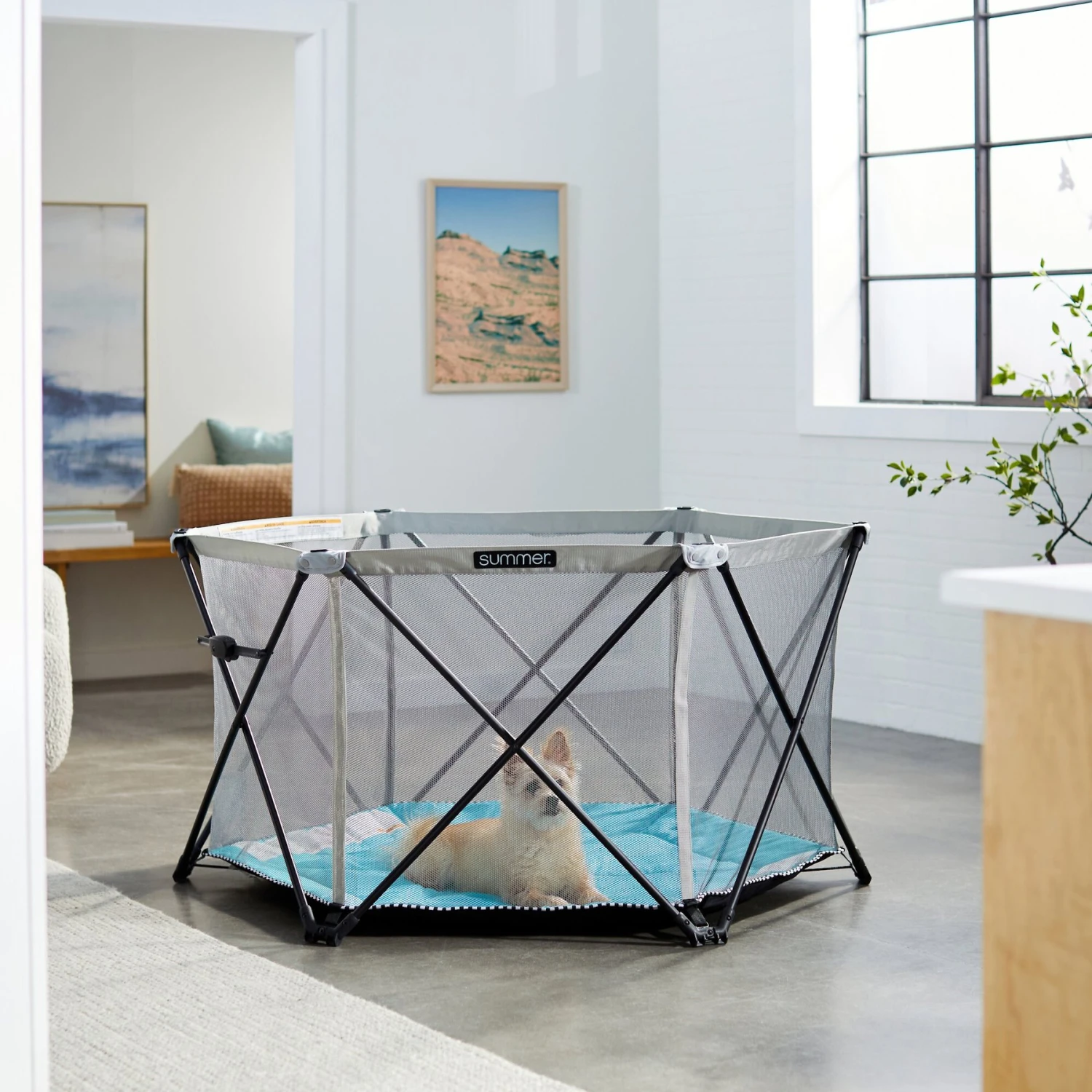 Summer Pop ‘n Play SE Hex 6-Sided Playard Dog Pen 6 Summer Pop ‘n Play SE Hex 6-Sided Playard Dog Pen - Image 4