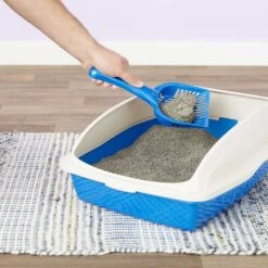 Arm & Hammer Litter Cat Litter Deodorizer Powder & Arm & Hammer Litter Slide Multi-Cat Scented Clumping Clay Cat Litter -Pet Supplies Store 292662 PT7. AC SS1800 V1619998628