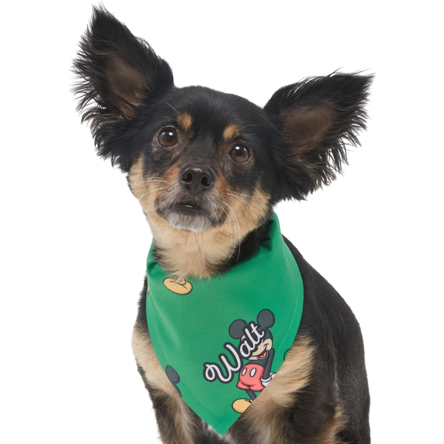 Disney Mickey Mouse Golden Days Personalized Dog & Cat Bandana 9 Disney Mickey Mouse Golden Days Personalized Dog & Cat Bandana - Image 7