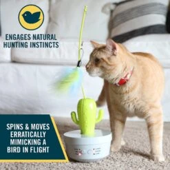 OurPets Cactus Wand Cat Toy 11 OurPets Cactus Wand Cat Toy -Pet Supplies Store 295682 PT4. AC SS1800 V1632947541