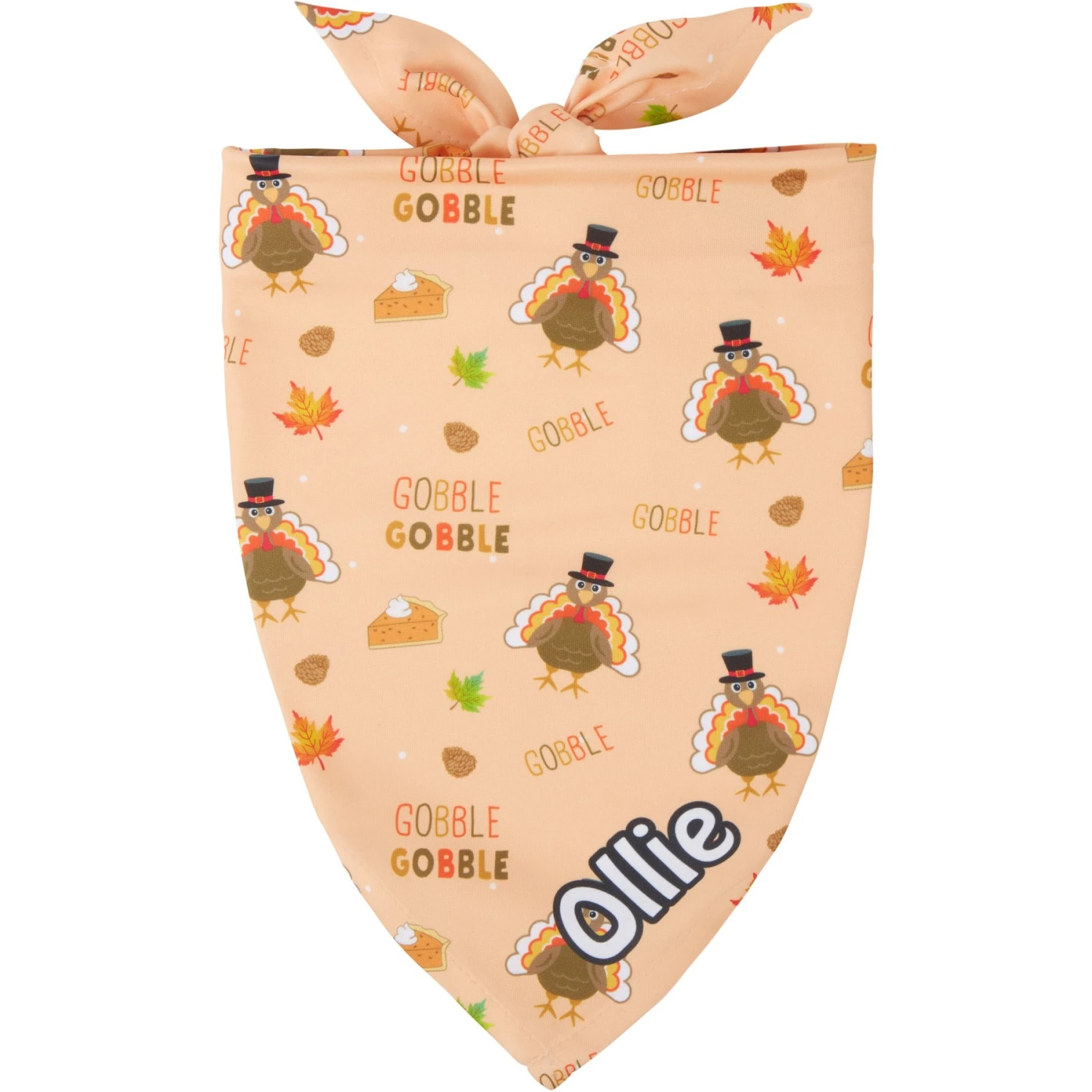 Frisco Quirky Thanksgiving Personalized Dog & Cat Bandana 3 Frisco Quirky Thanksgiving Personalized Dog & Cat Bandana
