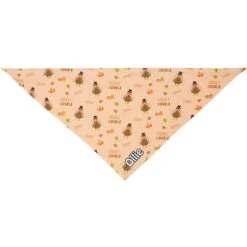Frisco Quirky Thanksgiving Personalized Dog & Cat Bandana 14 Frisco Quirky Thanksgiving Personalized Dog & Cat Bandana -Pet Supplies Store 296986 PT3. AC SS1800 V1627654956