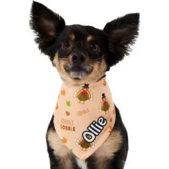 Frisco Quirky Thanksgiving Personalized Dog & Cat Bandana 17 Frisco Quirky Thanksgiving Personalized Dog & Cat Bandana -Pet Supplies Store 296986 PT6. AC SS1800 V1627654020