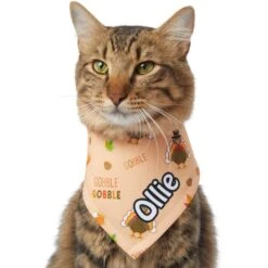 Frisco Quirky Thanksgiving Personalized Dog & Cat Bandana 18 Frisco Quirky Thanksgiving Personalized Dog & Cat Bandana -Pet Supplies Store 296986 PT7. AC SS1800 V1627654903