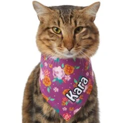 Frisco Fall Floral Personalized Dog & Cat Bandana -Pet Supplies Store 296990 PT7. AC SS1800 V1627653979