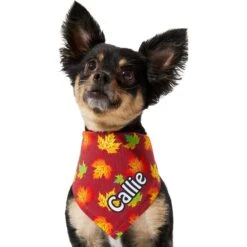 Frisco Fall Leaves Personalized Dog & Cat Bandana 17 Frisco Fall Leaves Personalized Dog & Cat Bandana -Pet Supplies Store 296994 PT6. AC SS1800 V1627654351