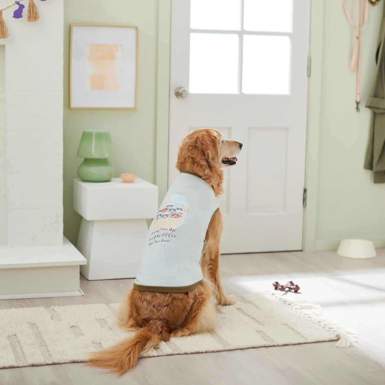 STAR WARS DEATH STAR Easter Basket Dog & Cat T-Shirt 8 STAR WARS DEATH STAR Easter Basket Dog & Cat T-Shirt - Image 6