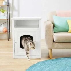 Frisco Decorative Side Table Cat Litter Box Cover & Frisco Open Top Cat Litter Box With Rim, Large 13 Frisco Decorative Side Table Cat Litter Box Cover & Frisco Open Top Cat Litter Box With Rim, Large -Pet Supplies Store 297992 PT4. AC SS1800 V1621306337