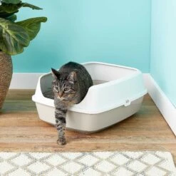 Frisco Decorative Side Table Cat Litter Box Cover & Frisco Open Top Cat Litter Box With Rim, Large 15 Frisco Decorative Side Table Cat Litter Box Cover & Frisco Open Top Cat Litter Box With Rim, Large -Pet Supplies Store 297992 PT6. AC SS1800 V1621299762
