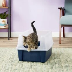 Frisco Plastic Litter Scooper With Caddy & IRIS USA Open Top Litter Box With Scatter Shield -Pet Supplies Store 298166 PT6. AC SS1800 V1623202669