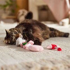 Frisco It's Raining Love Plush Cat Toy With Catnip, 4 Count 8 Frisco It's Raining Love Plush Cat Toy With Catnip, 4 Count -Pet Supplies Store 298968 PT3. AC SS1800 V1701364859