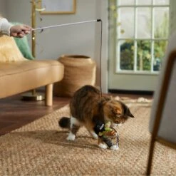 STAR WARS New Year's Eve THE MANDALORIAN GROGU Teaser Wand Cat Toy With Catnip -Pet Supplies Store 298979 PT2. AC SS1800 V1637767122