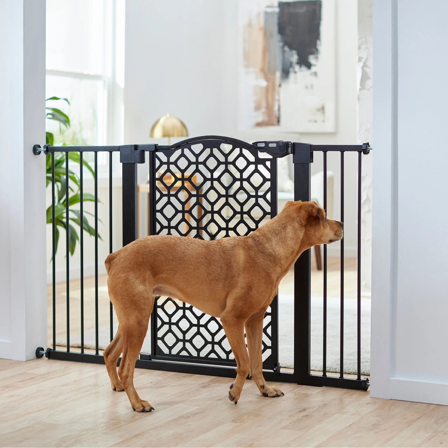 Frisco Metal Geometric Pattern Extra Wide Auto-close Dog Gate 3 Frisco Metal Geometric Pattern Extra Wide Auto-close Dog Gate