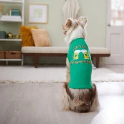 Frisco Let's Get Shamrocked Dog & Cat T-Shirt 13 Frisco Let's Get Shamrocked Dog & Cat T-Shirt -Pet Supplies Store 300184 PT8. AC SS1800 V1639597401