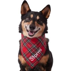 Frisco Tartan Plaid Embroidered Personalized Dog & Cat Bandana 15 Frisco Tartan Plaid Embroidered Personalized Dog & Cat Bandana -Pet Supplies Store 301157 PT6. AC SS1800 V1628536009