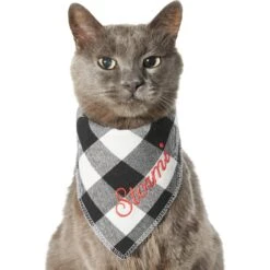 Frisco Buffalo Check Embroidered Personalized Dog & Cat Bandana -Pet Supplies Store 301162 PT7. AC SS1800 V1628535983