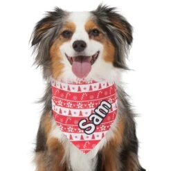 Frisco Fair Isle Personalized Dog & Cat Bandana -Pet Supplies Store 301357 PT6. AC SS1800 V1628100112