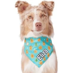 Frisco Gingerbread Cookie Personalized Dog & Cat Bandana -Pet Supplies Store 301361 PT6. AC SS1800 V1628100109
