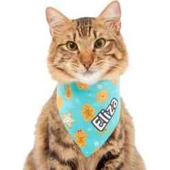 Frisco Gingerbread Cookie Personalized Dog & Cat Bandana -Pet Supplies Store 301361 PT7. AC SS1800 V1628100087