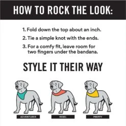 Frisco Buffalo Plaid Winter Animals Personalized Dog & Cat Bandana 12 Frisco Buffalo Plaid Winter Animals Personalized Dog & Cat Bandana -Pet Supplies Store 301365 PT2. AC SS1800 V1623274348