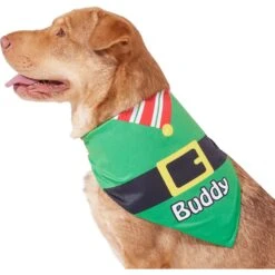 Frisco Santa's Favorite Elf Personalized Dog & Cat Bandana -Pet Supplies Store 301369 PT6. AC SS1800 V1628100146