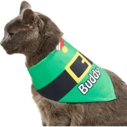 Frisco Santa's Favorite Elf Personalized Dog & Cat Bandana -Pet Supplies Store 301369 PT7. AC SS1800 V1628100114