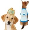 Frisco Happy Birthday Dog & Cat Crown & Frisco It's My Birthday & Cat T-Shirt -Pet Supplies Store 302470 MAIN. AC SS1800 V1623076950