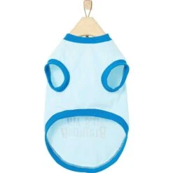 Frisco Happy Birthday Dog & Cat Crown & Frisco It's My Birthday & Cat T-Shirt 17 Frisco Happy Birthday Dog & Cat Crown & Frisco It's My Birthday & Cat T-Shirt -Pet Supplies Store 302470 PT6. AC SS1800 V1623065555