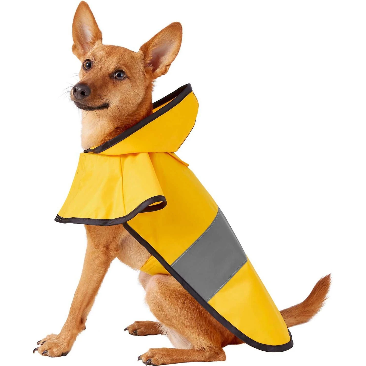 Frisco Lightweight Rainy Days Dog Raincoat & Frisco Lightweight Clear Vinyl Dog Raincoat 4 Frisco Lightweight Rainy Days Dog Raincoat & Frisco Lightweight Clear Vinyl Dog Raincoat - Image 2