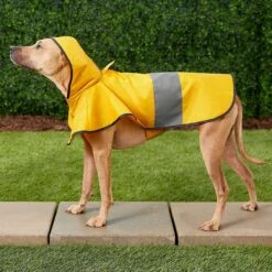 Frisco Lightweight Rainy Days Dog Raincoat & Frisco Lightweight Flamingo Dog Raincoat 15 Frisco Lightweight Rainy Days Dog Raincoat & Frisco Lightweight Flamingo Dog Raincoat -Pet Supplies Store 302828 PT4. AC SS1800 V1623042144