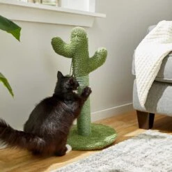 Frisco Novelty Unicorn Covered Cat & Dog Bed & Frisco Cactus Cat Scratching Post 17 Frisco Novelty Unicorn Covered Cat & Dog Bed & Frisco Cactus Cat Scratching Post -Pet Supplies Store 303496 PT7. AC SS1800 V1623062246