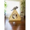 Petique Tippy Peak Eco Cat House 2 Petique Tippy Peak Eco Cat House -Pet Supplies Store 304764 MAIN. AC SS1800 V1623139079