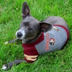Pets First Sport Team Dog & Cat Hoodie T-Shirt 8 Pets First Sport Team Dog & Cat Hoodie T-Shirt -Pet Supplies Store 305556 PT2. AC SS1800 V1632419479