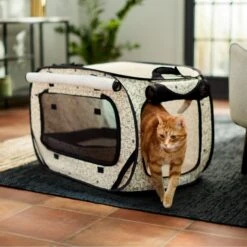 Frisco Collapsible Cat Cage, Litter Box, & Mat 15 Frisco Collapsible Cat Cage, Litter Box, & Mat -Pet Supplies Store 306999 PT6. AC SS1800 V1634830497
