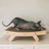Mau Lifestyle Cardboard Cat Scratcher -Pet Supplies Store 308909 MAIN. AC SS1800 V1635198988