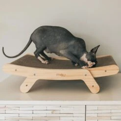 Mau Lifestyle Cardboard Cat Scratcher -Pet Supplies Store 308909 PT2. AC SS1800 V1635202579