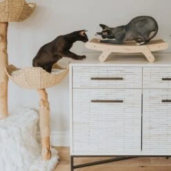 Mau Lifestyle Cardboard Cat Scratcher -Pet Supplies Store 308909 PT3. AC SS1800 V1635198754